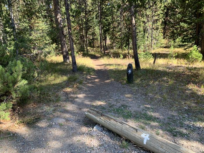 A photo of Site 4 of Loop Main Road at Lizard Creek Campground with Picnic Table, Fire Pit, Shade, Food Storage