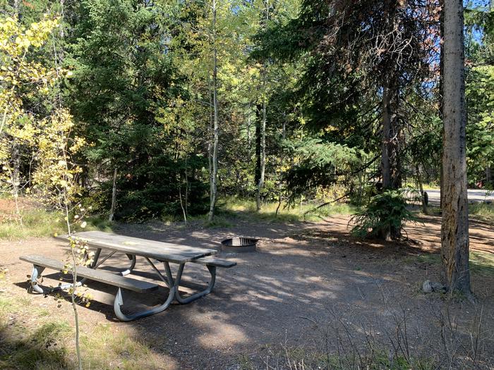 A photo of Site 43 of Loop Loop 2 at Lizard Creek Campground with Picnic Table, Fire Pit, Shade, Food Storage