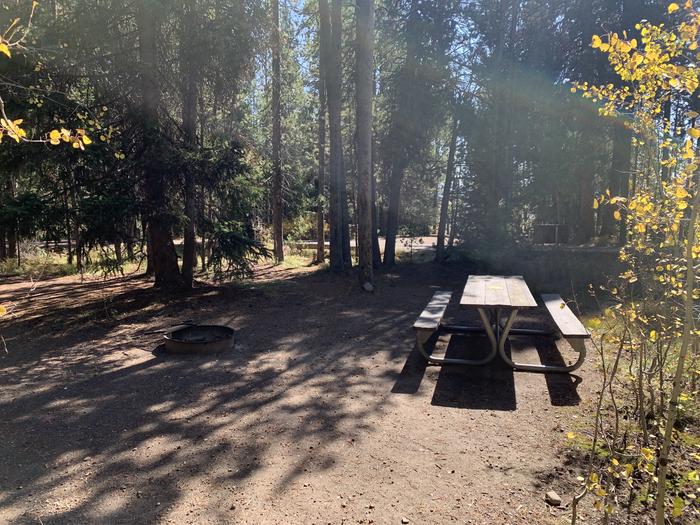 A photo of Site 43 of Loop Loop 2 at Lizard Creek Campground with Picnic Table, Fire Pit, Shade