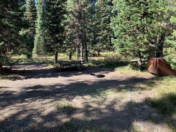A photo of Site 2 of Loop Main Road at Lizard Creek Campground with Picnic Table, Fire Pit, Shade, Food Storage