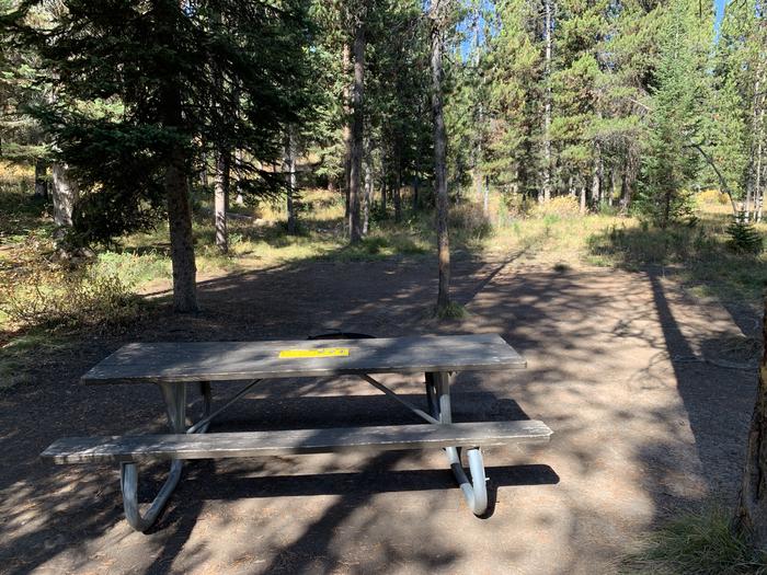 A photo of Site 8 of Loop Main Road at Lizard Creek Campground with Picnic Table, Fire Pit, Shade, Food Storage