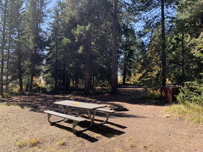 A photo of Site 39 of Loop Loop 2 at Lizard Creek Campground with Picnic Table, Fire Pit, Shade, Food Storage