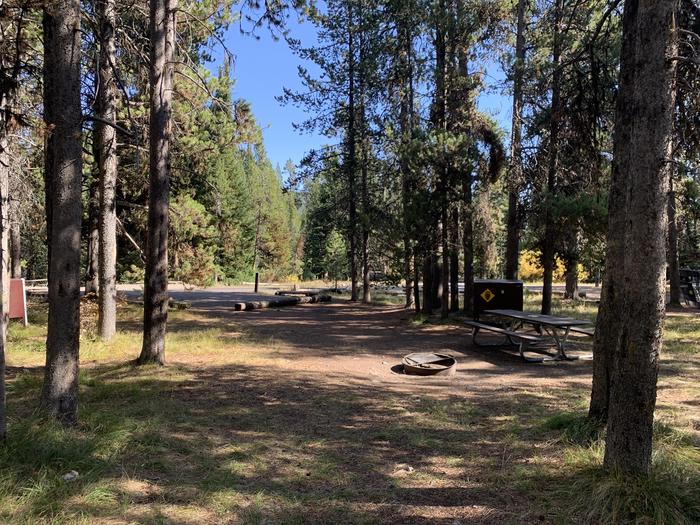 A photo of Site 56 of Loop Loop 1 at Lizard Creek Campground with Picnic Table, Fire Pit, Shade, Food Storage