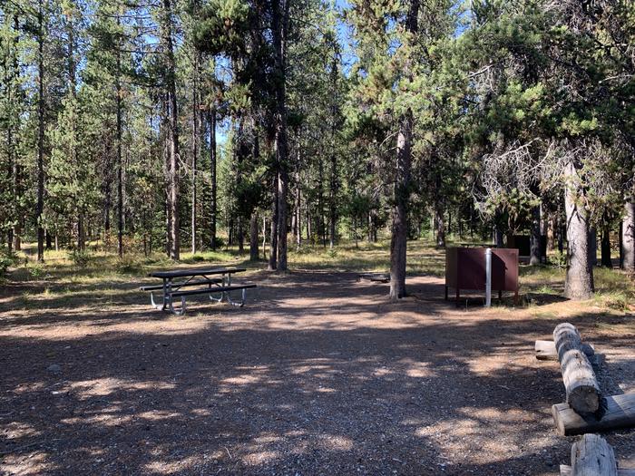 A photo of Site 54 of Loop Loop 1 at Lizard Creek Campground with Picnic Table, Fire Pit, Shade, Food Storage
