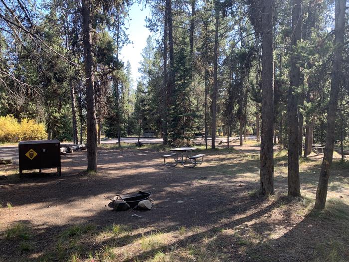 A photo of Site 54 of Loop Loop 1 at Lizard Creek Campground with Picnic Table, Fire Pit, Shade, Food Storage