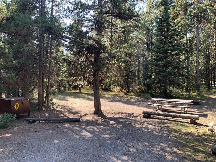 A photo of Site 62 of Loop Loop 1 at Lizard Creek Campground with Picnic Table, Fire Pit, Shade, Food Storage
