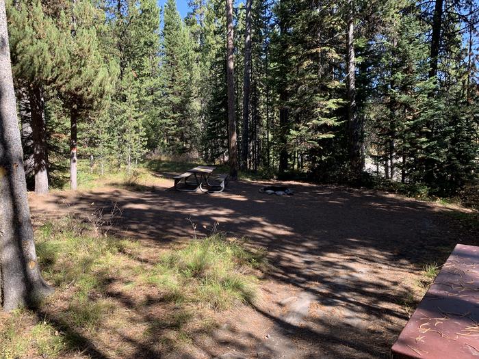 A photo of Site 16 of Loop Main Road at Lizard Creek Campground with Picnic Table, Fire Pit, Shade, Food Storage