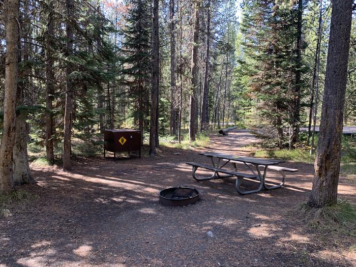 A photo of Site 49 of Loop Loop 1 at Lizard Creek Campground with Picnic Table, Fire Pit, Shade, Food Storage