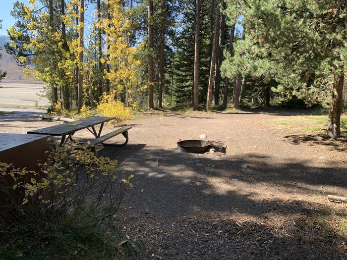 A photo of Site 31 of Loop Loop 2 at Lizard Creek Campground with Picnic Table, Fire Pit, Shade, Food Storage