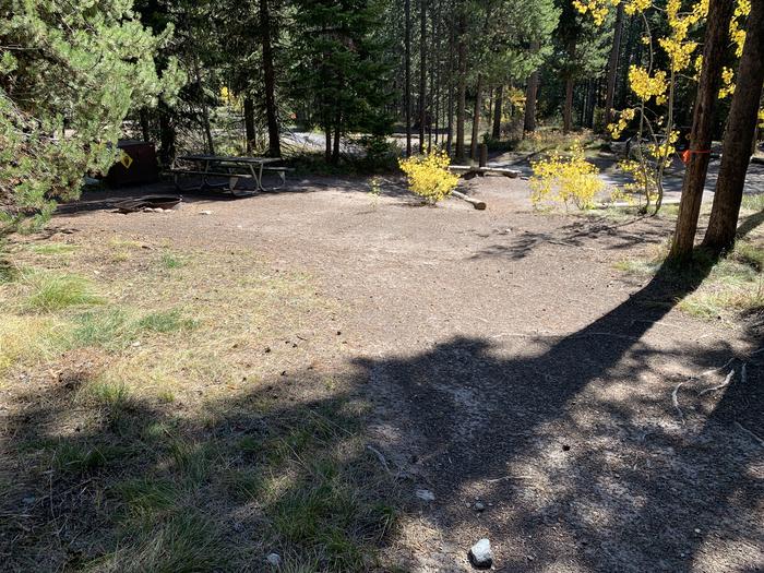 A photo of Site 31 of Loop Loop 2 at Lizard Creek Campground with Picnic Table, Fire Pit, Shade, Food Storage