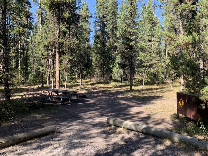 A photo of Site 48 of Loop Loop 1 at Lizard Creek Campground with Picnic Table, Fire Pit, Shade, Food Storage