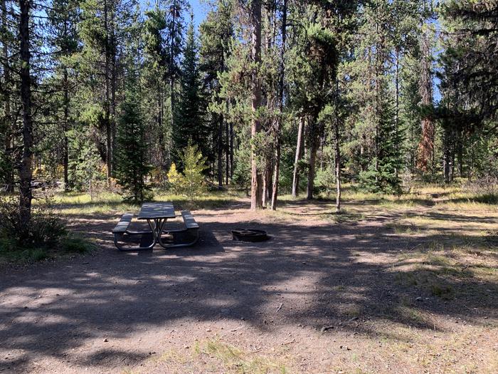 A photo of Site 48 of Loop Loop 1 at Lizard Creek Campground with Picnic Table, Fire Pit, Shade, Food Storage