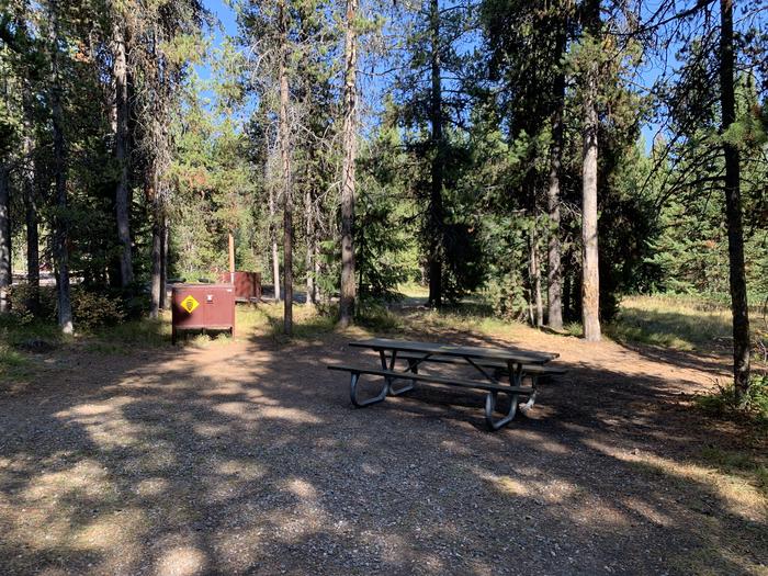 A photo of Site 51 of Loop Loop 1 at Lizard Creek Campground with Picnic Table, Fire Pit, Shade, Food Storage