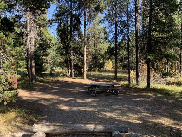 A photo of Site 51 of Loop Loop 1 at Lizard Creek Campground with Picnic Table, Fire Pit, Shade, Food Storage
