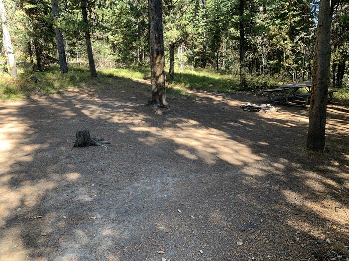 A photo of Site 20 of Loop Main Road at Lizard Creek Campground with Picnic Table, Fire Pit, Shade, Food Storage