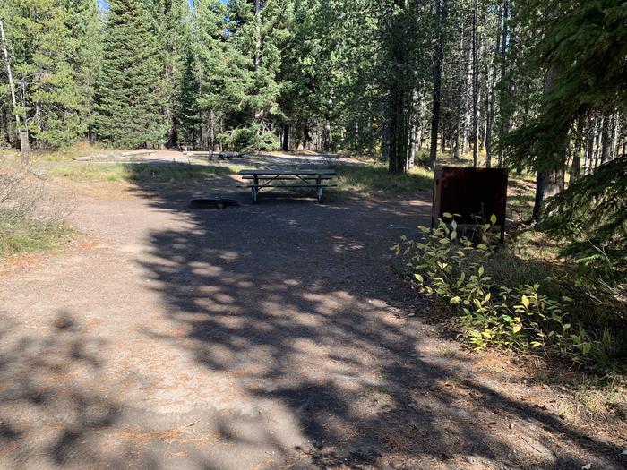 A photo of Site 29 of Loop Loop 2 at Lizard Creek Campground with Picnic Table, Fire Pit, Shade, Food Storage