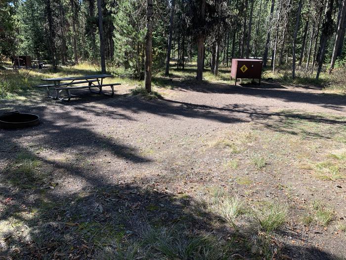 A photo of Site 6 of Loop Main Road at Lizard Creek Campground with Picnic Table, Fire Pit, Shade, Food Storage