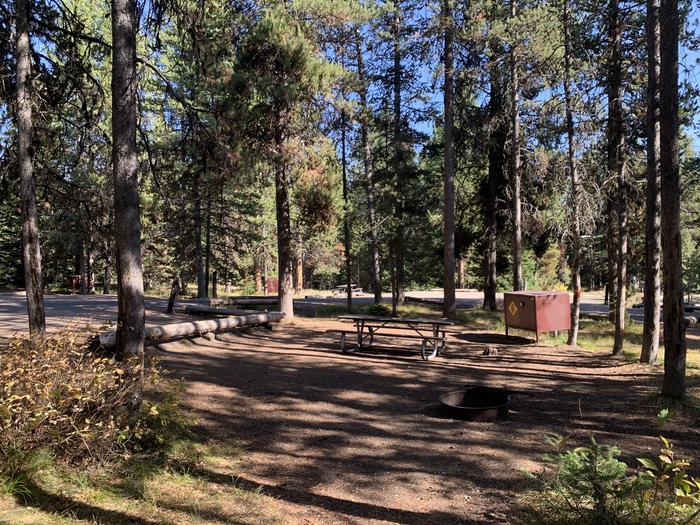 A photo of Site 58 of Loop  Loop 1 at Lizard Creek Campground with Picnic Table, Fire Pit, Shade, Food Storage