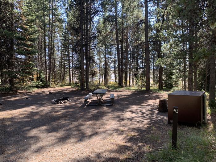 A photo of Site 41 of Loop Loop 2 at Lizard Creek Campground with Picnic Table, Fire Pit, Shade, Food Storage