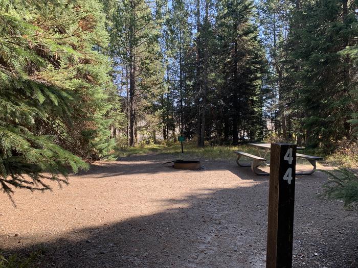 A photo of Site 44 of Loop Loop 2 at Lizard Creek Campground with Picnic Table, Fire Pit, Shade
