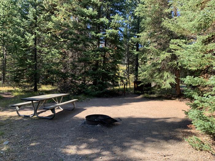 A photo of Site 44 of Loop Loop 2 at Lizard Creek Campground with Picnic Table, Fire Pit, Shade, Food Storage