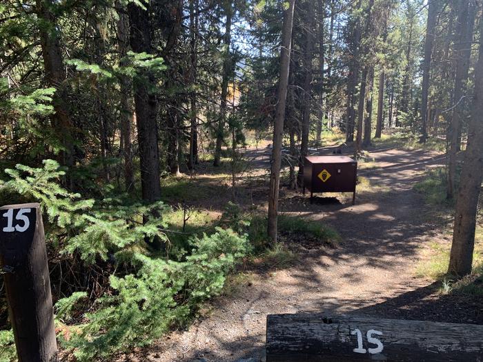 A photo of Site 15 of Loop Main Road at Lizard Creek Campground with Picnic Table, Fire Pit, Shade, Food Storage