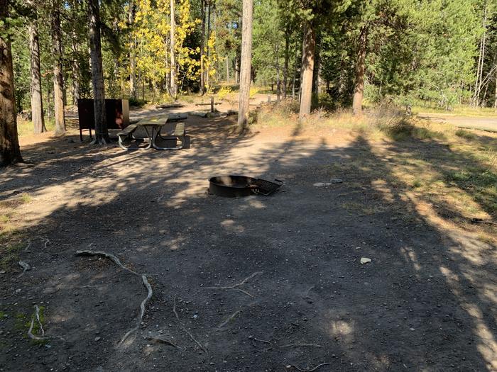 A photo of Site 30 of Loop Loop 2 at Lizard Creek Campground with Picnic Table, Fire Pit, Shade, Food Storage