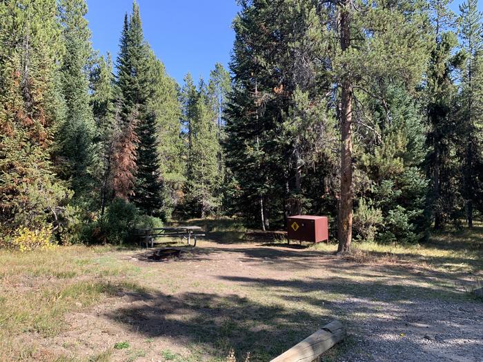 A photo of Site 55 of Loop  Loop 1 at Lizard Creek Campground with Picnic Table, Fire Pit, Food Storage