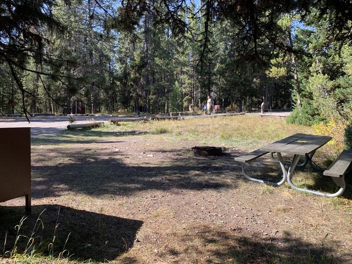 A photo of Site 55 of Loop  Loop 1 at Lizard Creek Campground with Picnic Table, Fire Pit, Food Storage