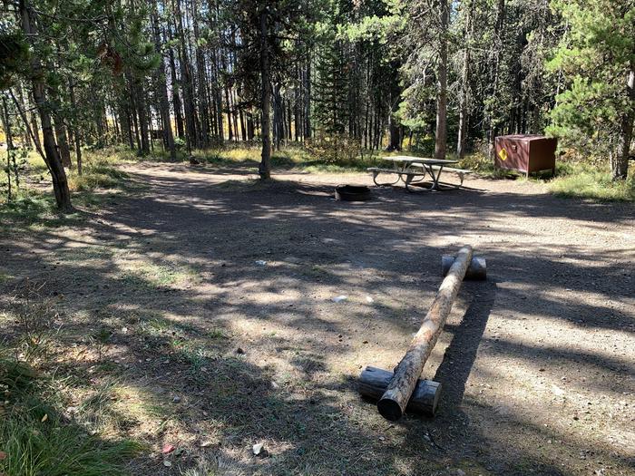 A photo of Site 25 of Loop Loop 2 at Lizard Creek Campground with Picnic Table, Fire Pit, Shade, Food Storage