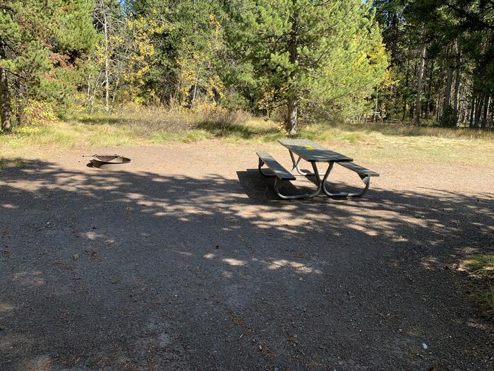 A photo of Site 37 of Loop Loop 2 at Lizard Creek Campground with Picnic Table, Fire Pit, Shade, Food Storage