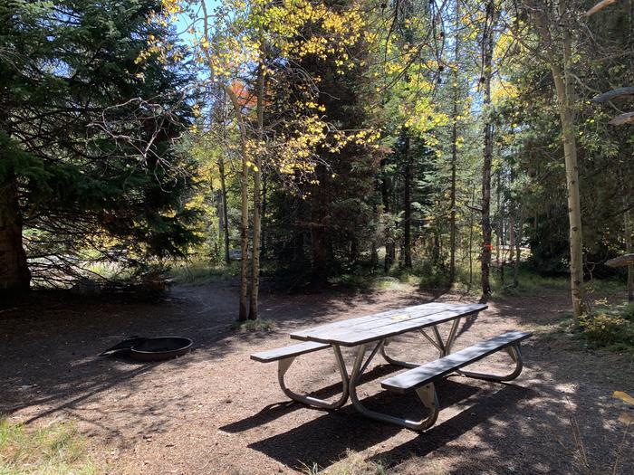 A photo of Site 45 of Loop Loop 2 at Lizard Creek Campground with Picnic Table, Fire Pit, Shade