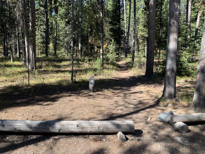 A photo of Site 12 of Loop Main Road at Lizard Creek Campground with Picnic Table, Fire Pit, Shade, Food Storage