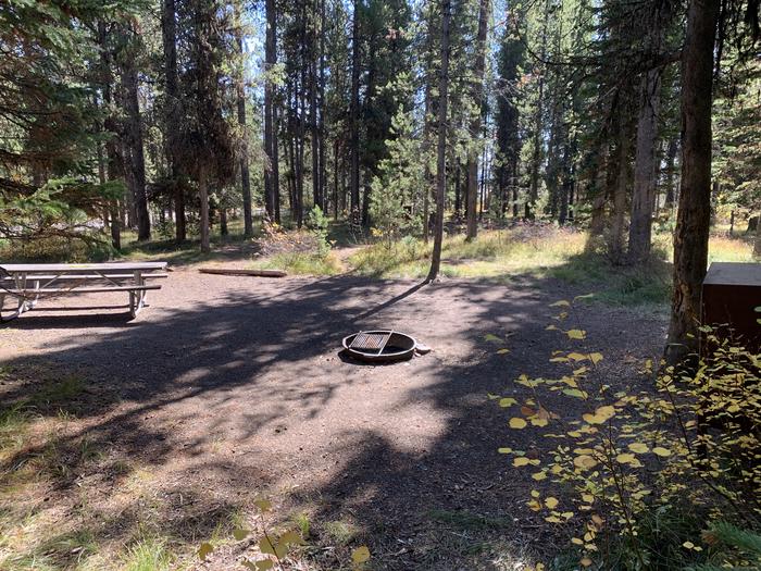 A photo of Site 12 of Loop Main Road at Lizard Creek Campground with Picnic Table, Fire Pit, Shade, Food Storage