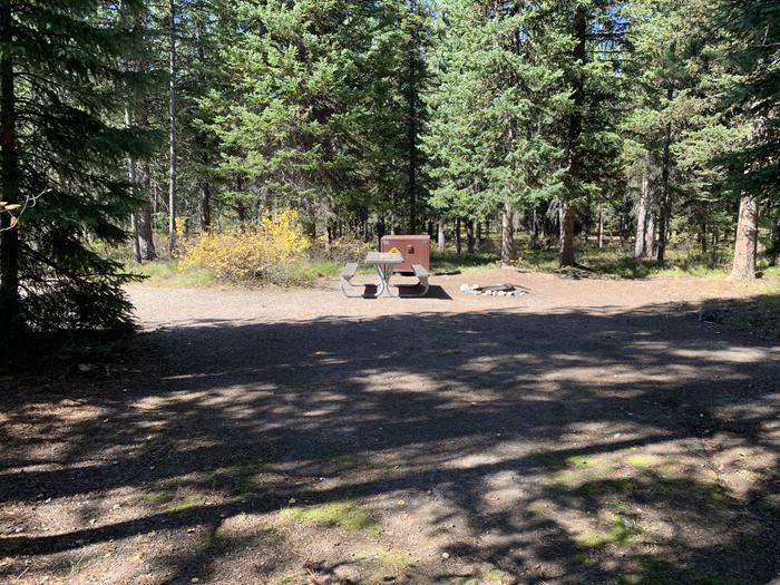 A photo of Site 24 of Loop Loop 2 at Lizard Creek Campground with Picnic Table, Fire Pit, Shade, Food Storage