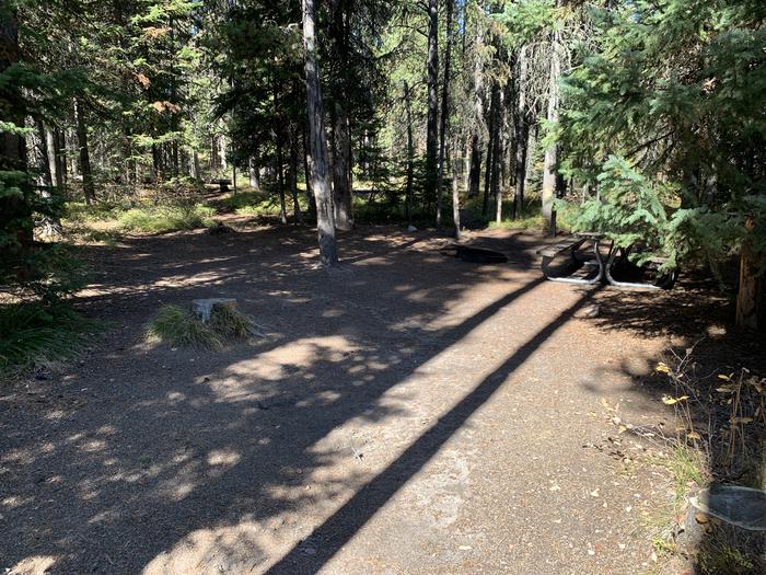 A photo of Site 19 of Loop Main Road at Lizard Creek Campground with Picnic Table, Fire Pit, Shade, Food Storage