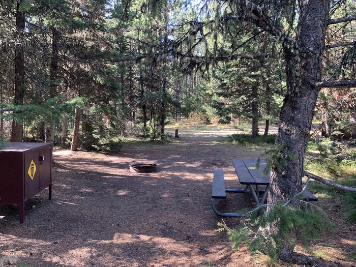 A photo of Site 60 of Loop  Loop 1 at Lizard Creek Campground with Picnic Table, Fire Pit, Shade, Food Storage