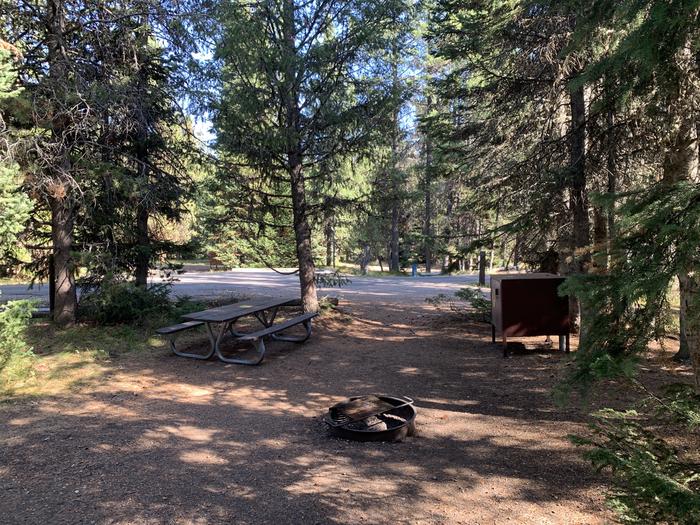 A photo of Site 60 of Loop  Loop 1 at Lizard Creek Campground with Picnic Table, Fire Pit, Shade, Food Storage