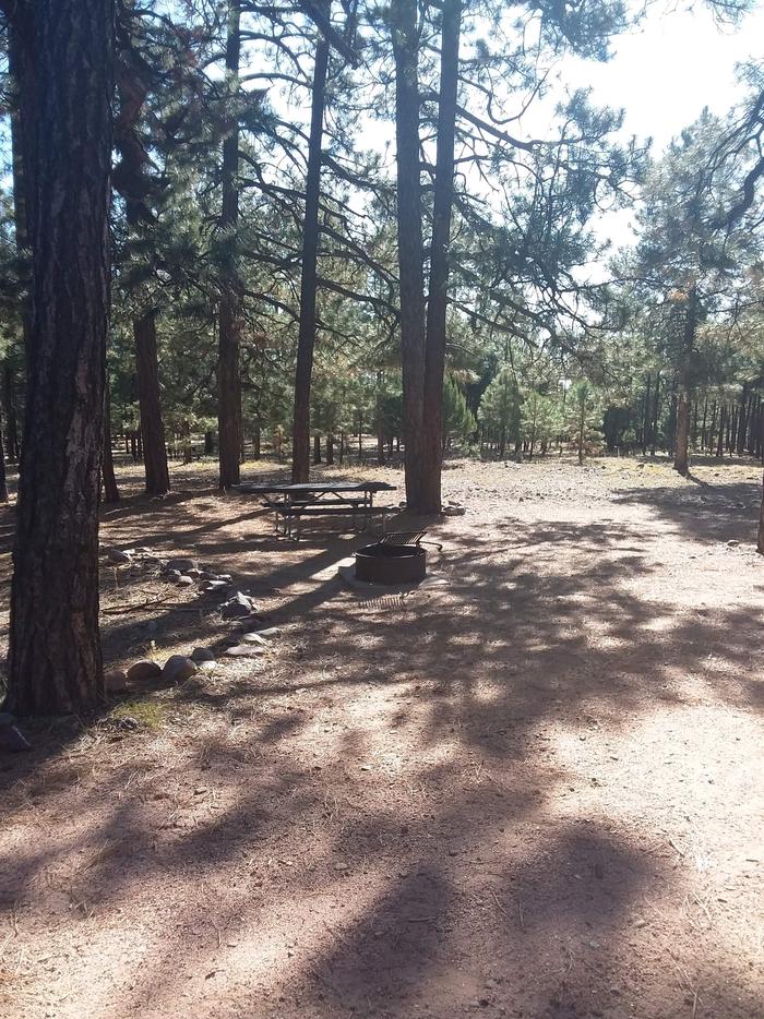 View of Black Canyon Rim Campsite 1: showing picnic table, fire pit.Site 1; Black Canyon Rim