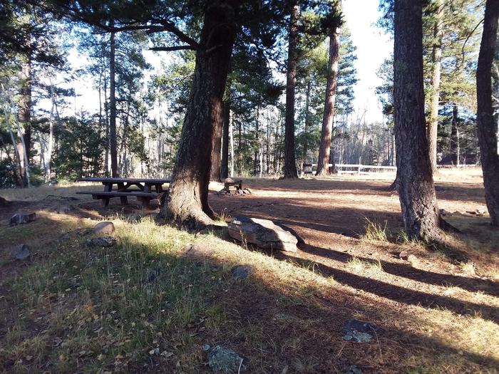 Site 2 with picnic table, shaded by surrounding forest