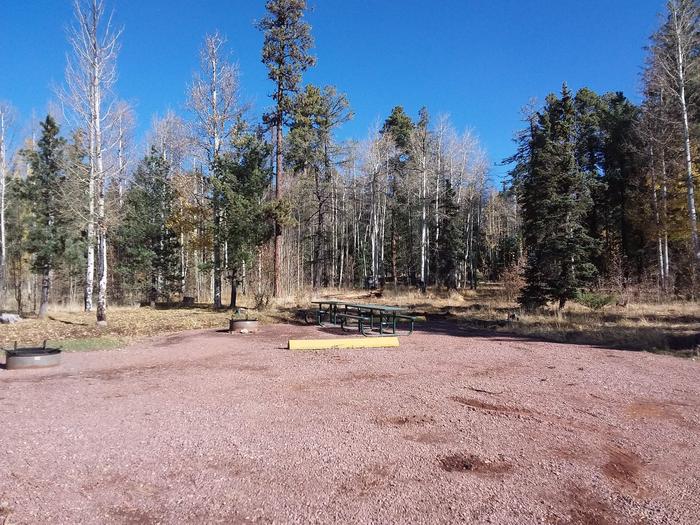 Site 9 & 10 with parking, campfire rings, and picnic tables.