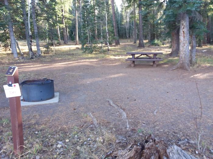 Site 4 with picnic table, campfire ring, and shaded by surrounding forest