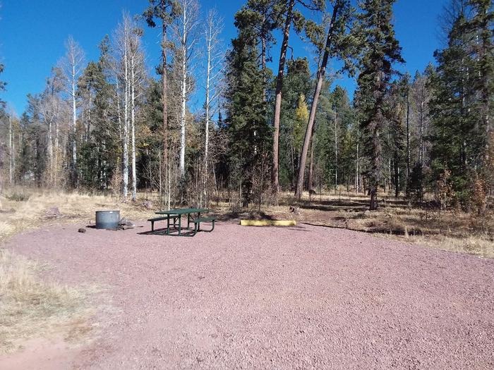 Site 11 with campfire ring, picnic table, and parking.