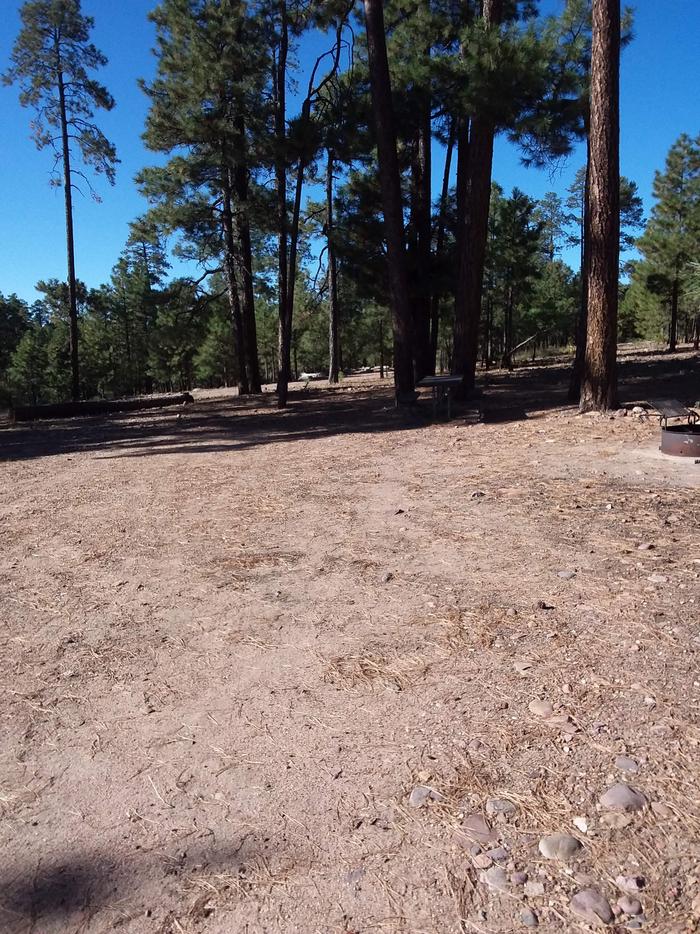 View of Black Canyon Rim Campground Site 4: with picnic table, and fire pitBlack Canyon Rim CG S4