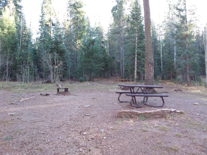Site 5 with picnic table, fire grill, and shaded by surrounding forest