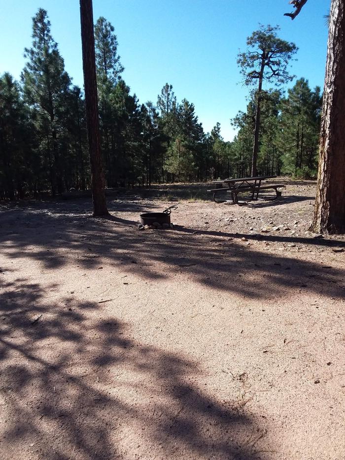 View of Black Canyon Rim Campsite 5: showing picnic table, fire pit.Black Canyon Rim CG S5