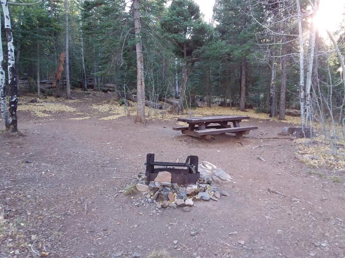 Site 5 with picnic table, campfire grill, and shaded by surrounding forest