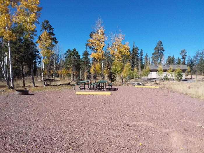 Site 13 & 14 with picnic tables, campfire rings, and parking.