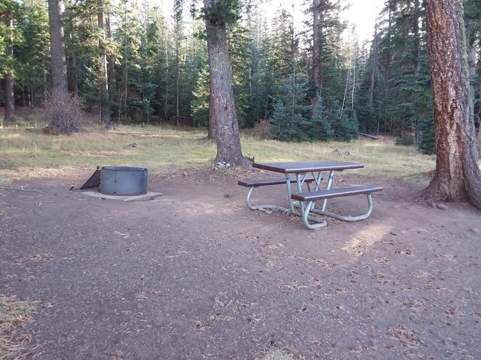 Site 8 with picnic table, campfire ring, and shaded by surrounding forest
