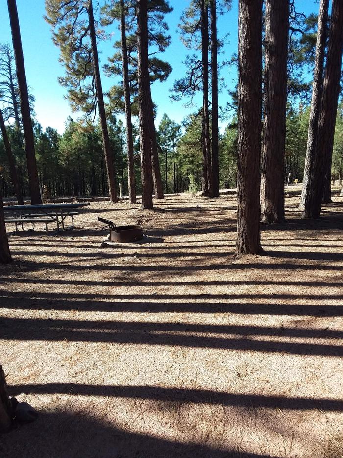 View of Black Canyon Rim Campsite 6: showing picnic table, fire pit.Black Canyon Rim CG S6